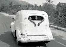 BERNARD PLOSSU 1